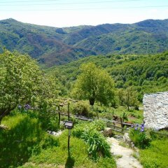 Отель Melanya Mountain Retreat Болгария, Ардино - отзывы, цены и фото номеров - забронировать отель Melanya Mountain Retreat онлайн фото 21