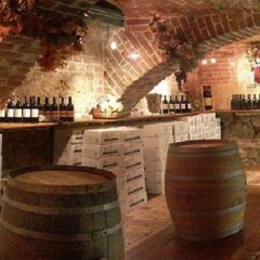 Отель Altwienerhof интерьер отеля фото 2