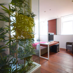 Отель Boutique Rooms Сербия, Белград - отзывы, цены и фото номеров - забронировать отель Boutique Rooms онлайн интерьер отеля фото 2
