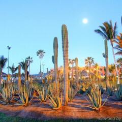 Отель Holiday Inn Resort Los Cabos Все включено пляж