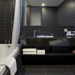 Отель Sotetsu Hotels The Splaisir Seoul Myeong-Dong ванная фото 2