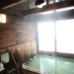 Nikko Lakeside Hotel Никко бассейн фото 2