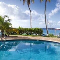 Limetree Beach Resort by Club Wyndham in St. Thomas, U.S. Virgin Islands from 237$, photos, reviews - zenhotels.com pool