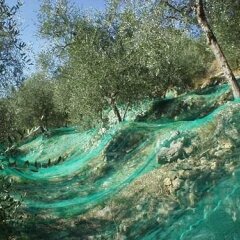 Отель Agriturismo Gli Orti Италия, Кьюзанико - отзывы, цены и фото номеров - забронировать отель Agriturismo Gli Orti онлайн спортивное сооружение