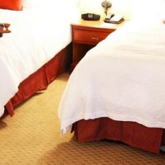Отель Hampton Inn & Suites Los Angeles Burbank Airport Лос-Анджелес детские мероприятия