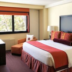 Отель Washington Plaza Hotel США, Вашингтон - отзывы, цены и фото номеров - забронировать отель Washington Plaza Hotel онлайн комната для гостей фото 4