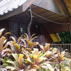 Отель Seashell Coconut Village Koh Tao Таиланд, Мэй-Хаад-Бэй - отзывы, цены и фото номеров - забронировать отель Seashell Coconut Village Koh Tao онлайн спортивное сооружение