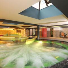Отель Hunguest Hotel Palota Венгрия, Силвашварад - 1 отзыв об отеле, цены и фото номеров - забронировать отель Hunguest Hotel Palota онлайн бассейн фото 3