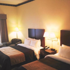 Отель Comfort Inn & Suites Ft. Jackson Maingate США, Колумбия - отзывы, цены и фото номеров - забронировать отель Comfort Inn & Suites Ft. Jackson Maingate онлайн комната для гостей фото 4