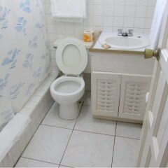 Отель Brandon Hill Guest House Ямайка, Монтего-Бей - отзывы, цены и фото номеров - забронировать отель Brandon Hill Guest House онлайн ванная