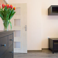 Отель Apartamenty Wawa Centrum by Your Freedom Польша, Варшава - отзывы, цены и фото номеров - забронировать отель Apartamenty Wawa Centrum by Your Freedom онлайн удобства в номере