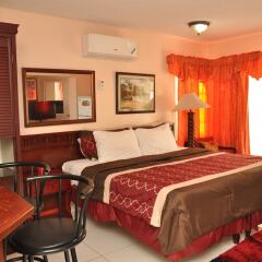 Отель Mystic Ridge 1 Bedroom Ocho Rios Jamaica комната для гостей фото 3