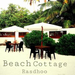 Beach Cottage in Alif Alif Atoll, Maldives from 98$, photos, reviews - zenhotels.com meals
