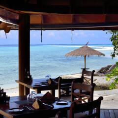 Отель Gangehi Island Resort гостиничный бар