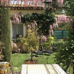 Отель Villa Kilauea B&B