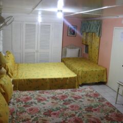 Hibiscus Hostel комната для гостей фото 2