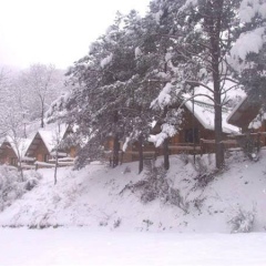 Отель Camping Vall De Ribes Рибес-де-Фресер спортивное сооружение