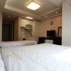 Отель Brown Suites Seoul Южная Корея, Сеул - 1 отзыв об отеле, цены и фото номеров - забронировать отель Brown Suites Seoul онлайн удобства в номере