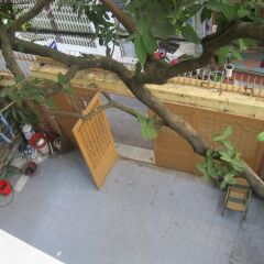 Отель Ms. Yang Homestay Вьетнам, Хошимин - отзывы, цены и фото номеров - забронировать отель Ms. Yang Homestay онлайн помещение для мероприятий фото 2