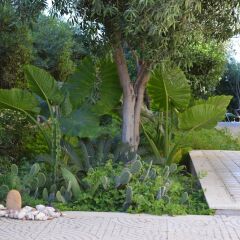 Отель B&B Il Faro Сиракуза фото 9
