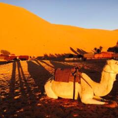 Отель Auberge Kasbah Des Dunes Марокко, Мерзуга - отзывы, цены и фото номеров - забронировать отель Auberge Kasbah Des Dunes онлайн фото 11