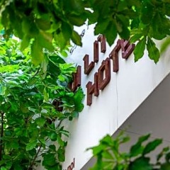 Отель Hanoi Little Town Hotel Вьетнам, Ханой - отзывы, цены и фото номеров - забронировать отель Hanoi Little Town Hotel онлайн