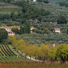 Отель Agriturismo Il Palazzo Ареццо фото 7