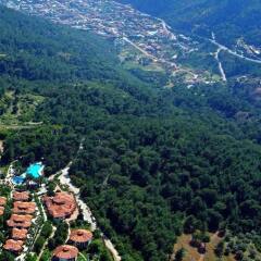 Отель Montana Pine Resort - All Inclusive фото 8