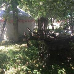 Отель Turkestan Yurt Camp Кыргызстан, Каракол - отзывы, цены и фото номеров - забронировать отель Turkestan Yurt Camp онлайн