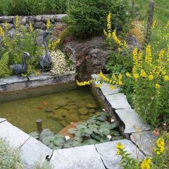 Отель Gstaad - Amazing Lake Chalet фото 3