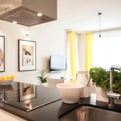 Апартаменты Business Lux Apartment комната для гостей фото 3