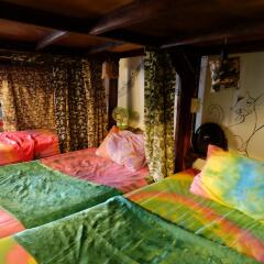 Peacock Hostel детские мероприятия фото 2