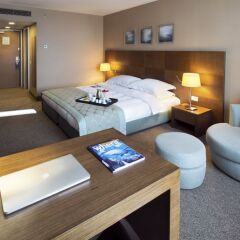 Radisson Blu Conference & Airport Hotel, Istanbul Турция, Стамбул - - забронировать отель Radisson Blu Conference & Airport Hotel, Istanbul, цены и фото номеров детские мероприятия фото 2