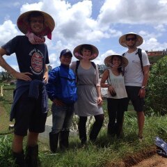 Отель Dalat Authentic Homestay Вьетнам, Далат - отзывы, цены и фото номеров - забронировать отель Dalat Authentic Homestay онлайн приотельная территория фото 2