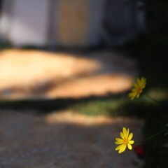 Отель An Garden Dalat Далат спортивное сооружение
