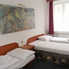 Elen's Hotel Arlington Prague комната для гостей фото 15