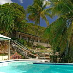 Olga's Fancy in St. Thomas, U.S. Virgin Islands from 733$, photos, reviews - zenhotels.com photo 4