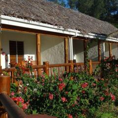 Отель Tropica Island Resort - Adults Only фото 8