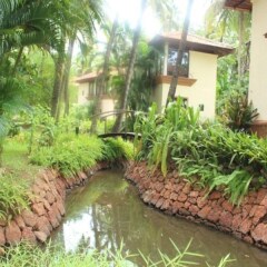 Отель Coconut Creek Гоа