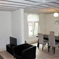 Отель Traditional Modern Apartments Бельгия, Антверпен - отзывы, цены и фото номеров - забронировать отель Traditional Modern Apartments онлайн комната для гостей фото 3