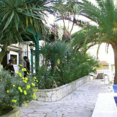 Отель Marbella Испания, Курорт Росес - отзывы, цены и фото номеров - забронировать отель Marbella онлайн