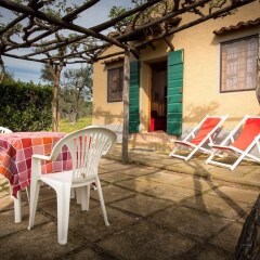 Отель Agriturismo Quattro Pini Италия, Кастаньето-Кардуччи - отзывы, цены и фото номеров - забронировать отель Agriturismo Quattro Pini онлайн фото 6