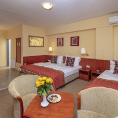 Hotel Charles 3* Номер Делюкс
