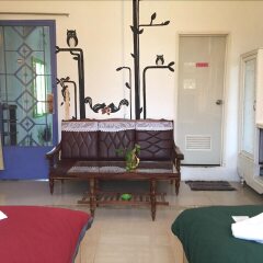 Отель Hai Cay Thong Homestay - Hostel Вьетнам, Далат - отзывы, цены и фото номеров - забронировать отель Hai Cay Thong Homestay - Hostel онлайн комната для гостей фото 3