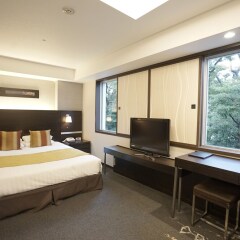 Отель Akasaka Excel Hotel Tokyu Япония, Токио - отзывы, цены и фото номеров - забронировать отель Akasaka Excel Hotel Tokyu онлайн комната для гостей фото 3