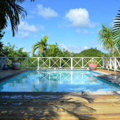Sandpiper in Newcastle, St. Kitts and Nevis from 310$, photos, reviews - zenhotels.com pool photo 2