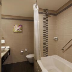 Отель Hilton Garden Inn New Delhi/Saket ванная