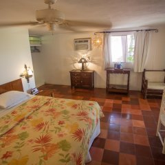 Cormier Plage Resort in Labadee, Haiti from 187$, photos, reviews - zenhotels.com guestroom