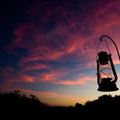 Отель Wild Trails Yala Tented Safari Camp фото 6