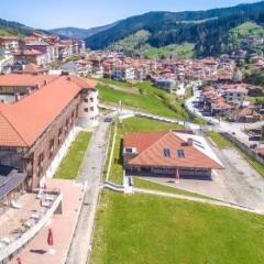 Отель Borika Hotel Болгария, Чепеларе - отзывы, цены и фото номеров - забронировать отель Borika Hotel онлайн фото 7